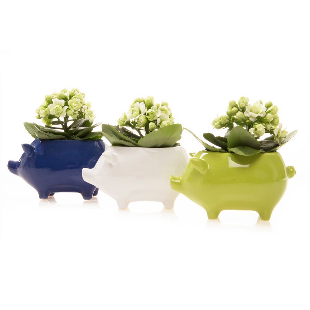 Pig Ceramic Animal Planter: Cobalt