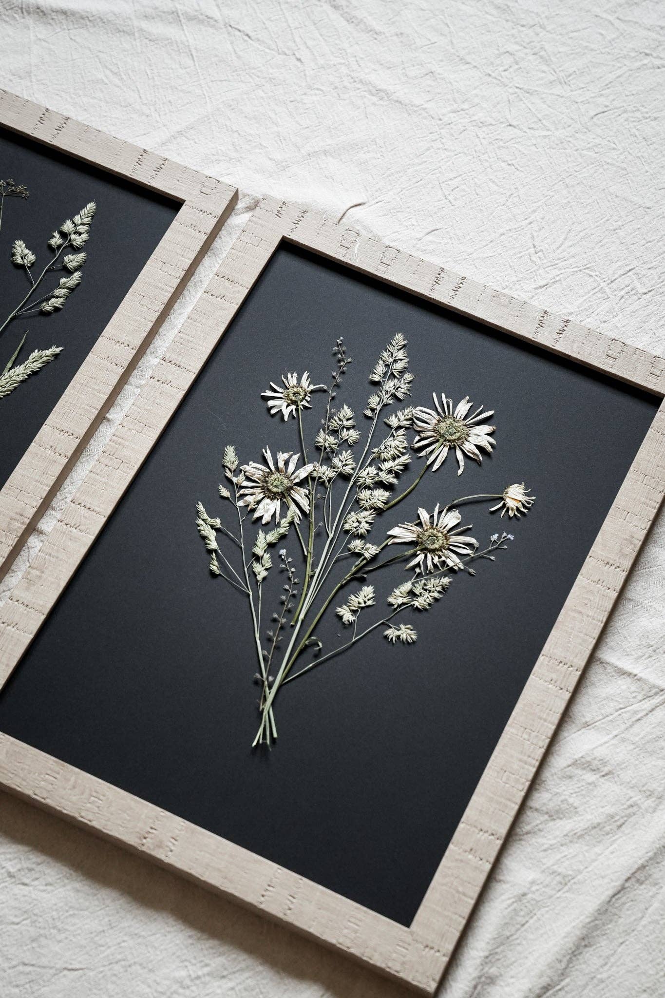 Golden Hour – Framed Black A3 Pressed Flower Giclée Print: Framed A3 Pressed Flower Print: Sand Frame