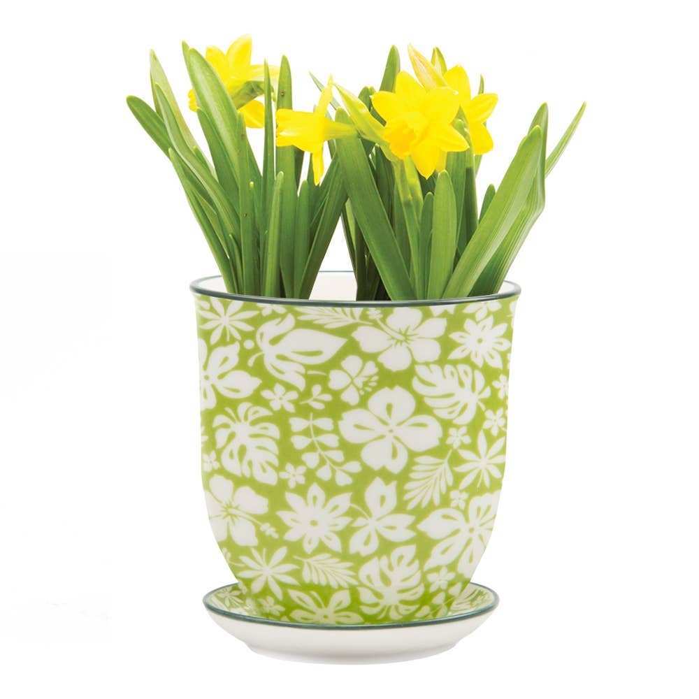 Liberte 3 - Ceramic Pot with Saucer and Drainage Hole: Green Garden / 3.25"