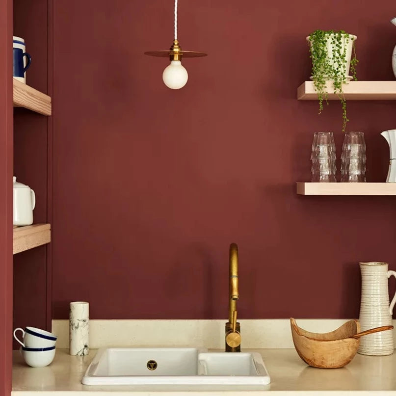 Earthborn Claypaint Lady Bug 5L