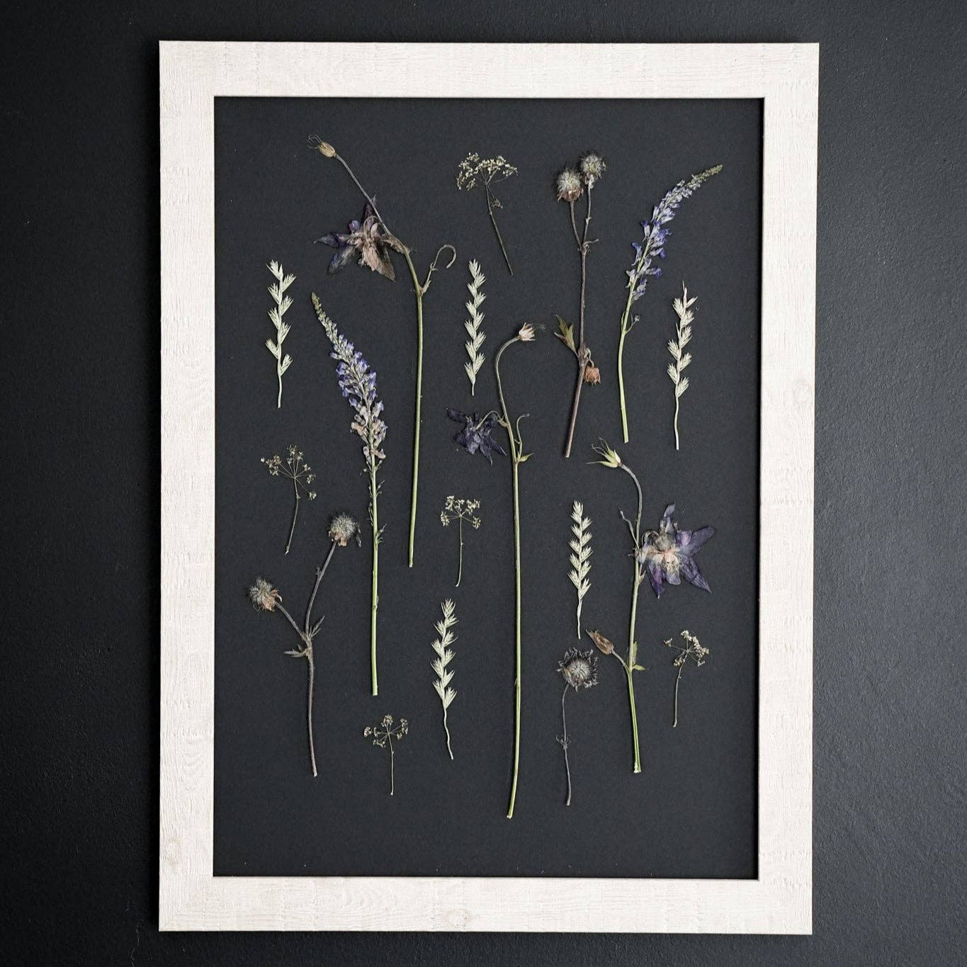 Nightfall Archive – Framed A3 Black Giclée Pressed Flower Print: Framed A3 Pressed Flower Print: Sand Frame
