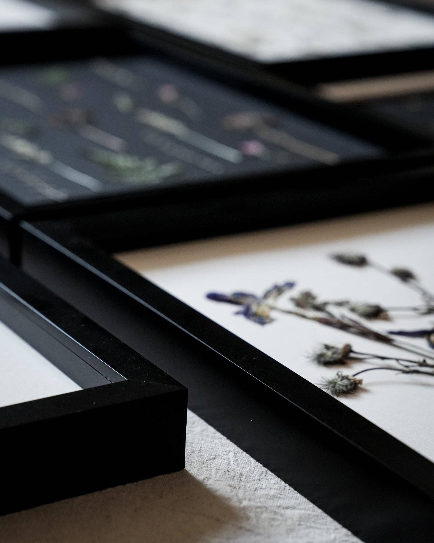 Pressed Meadow: Framed A3 Giclée Pressed Flower Print: Framed A3 Pressed Flower Print: Black Noir Frame