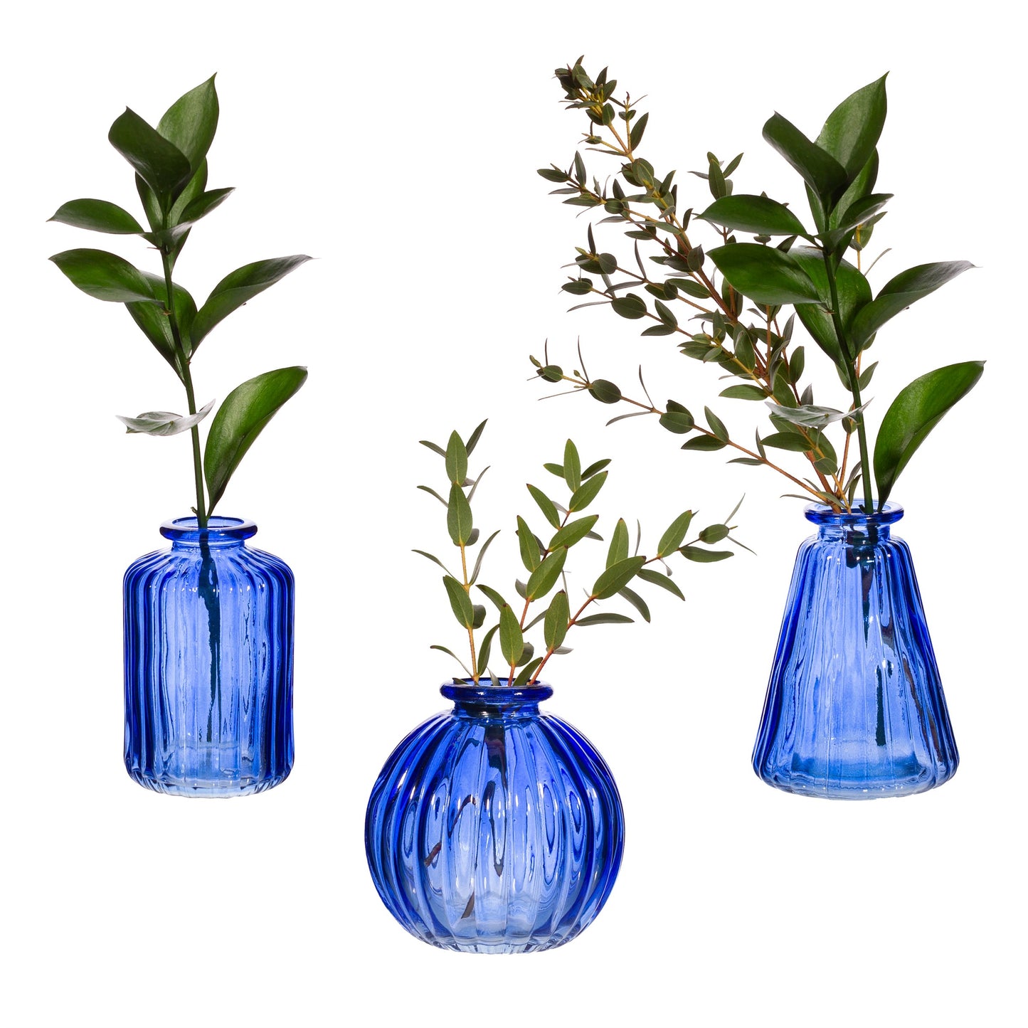 Sass and Belle Cobalt Blue Glass Bud Vases - Set of 3