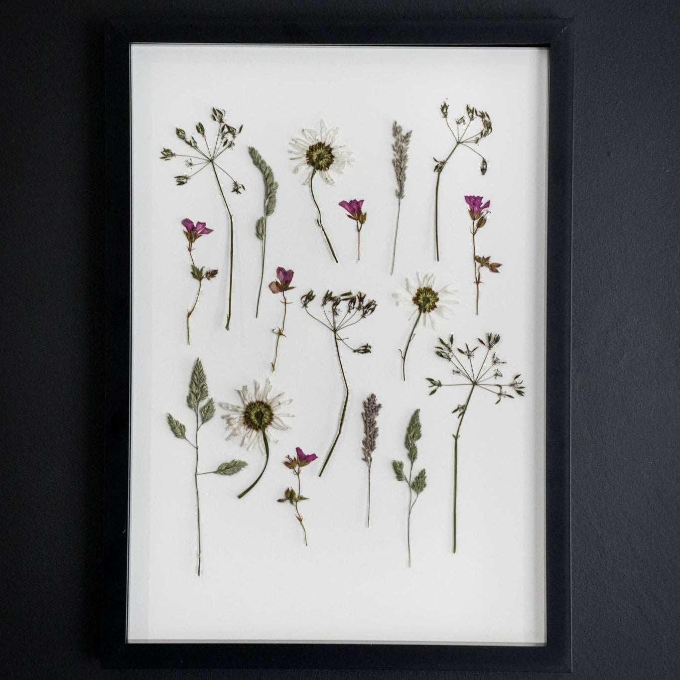 Pressed Meadow: Framed A3 Giclée Pressed Flower Print: Framed A3 Pressed Flower Print: Black Noir Frame