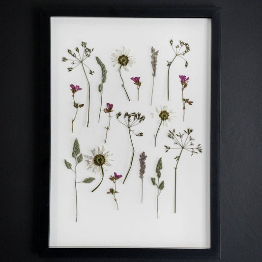 Pressed Meadow: Framed A3 Giclée Pressed Flower Print: Framed A3 Pressed Flower Print: Black Noir Frame
