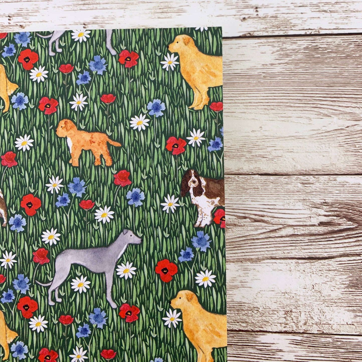 Samantha Hall Designs A5 Wildflower Walkies dog notebook