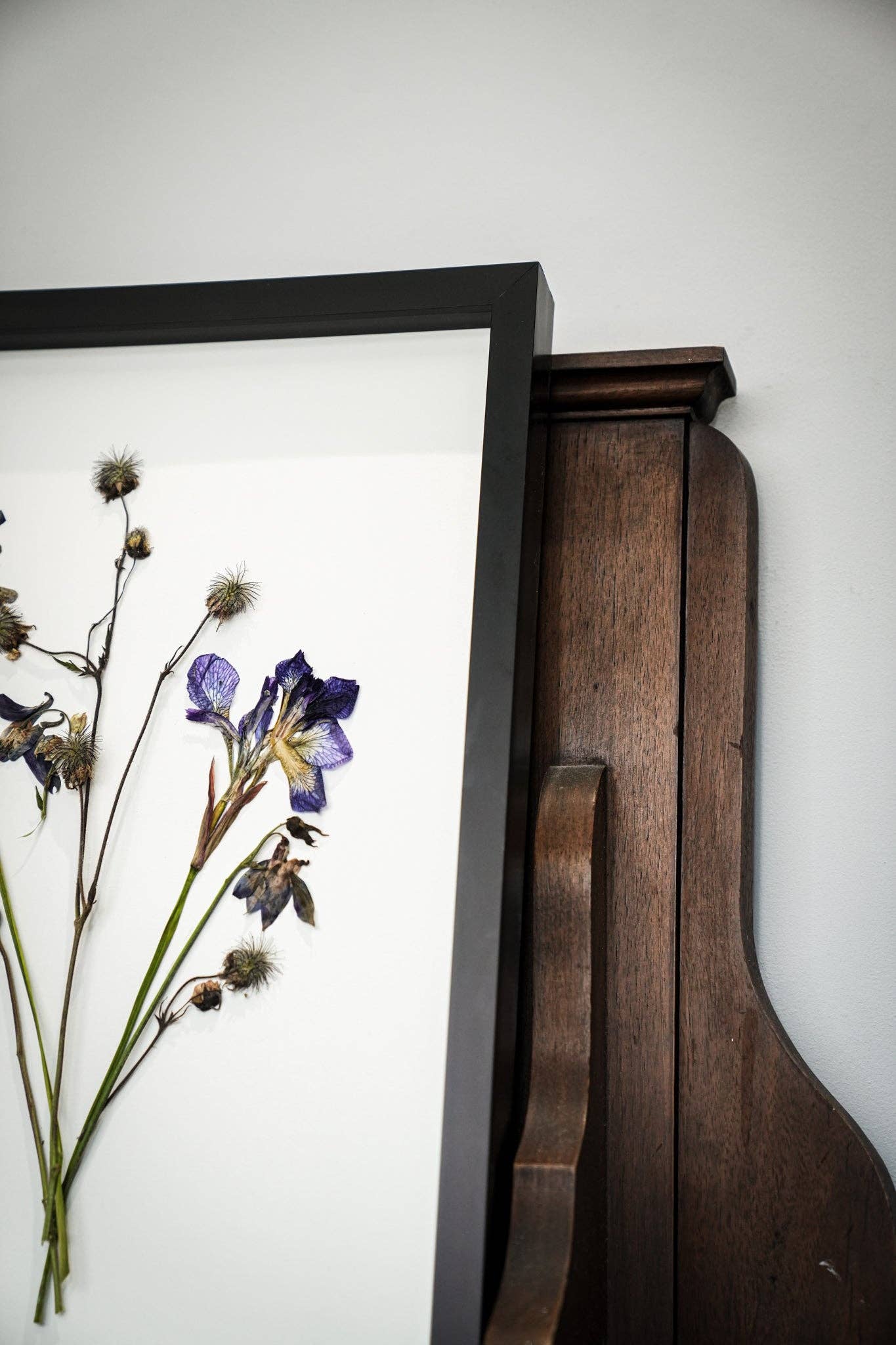 Wild Fade – Framed A3 Giclée Print of Pressed Flower Artwork: Framed A3 Pressed Flower Print: Black Noir Frame