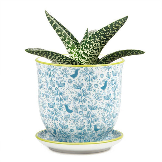 Liberte 3 - Ceramic Pot with Saucer and Drainage Hole: Blue Birds / 3.25"