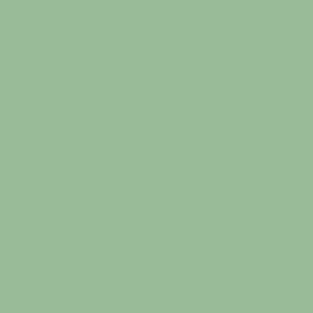 Earthborn Claypaint Sample Pot Greens