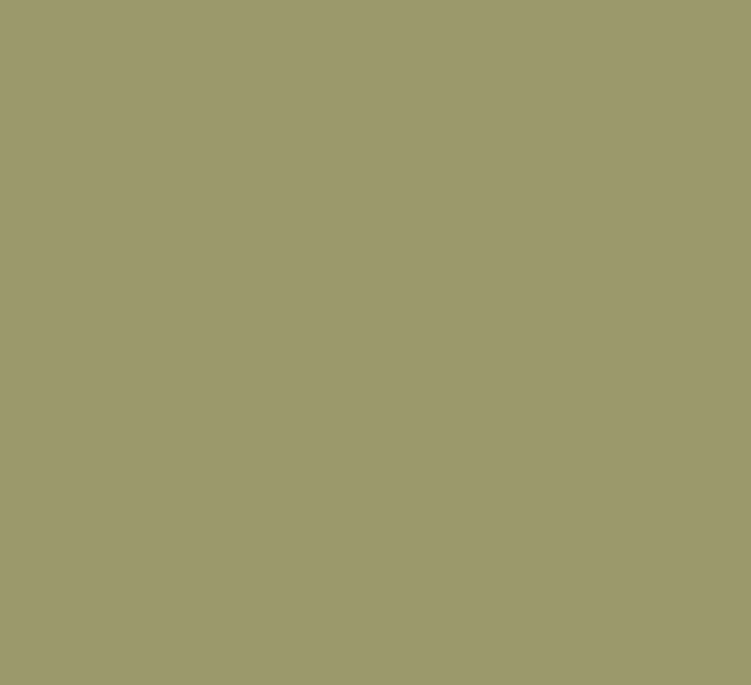 Earthborn Claypaint Sample Pot Greens