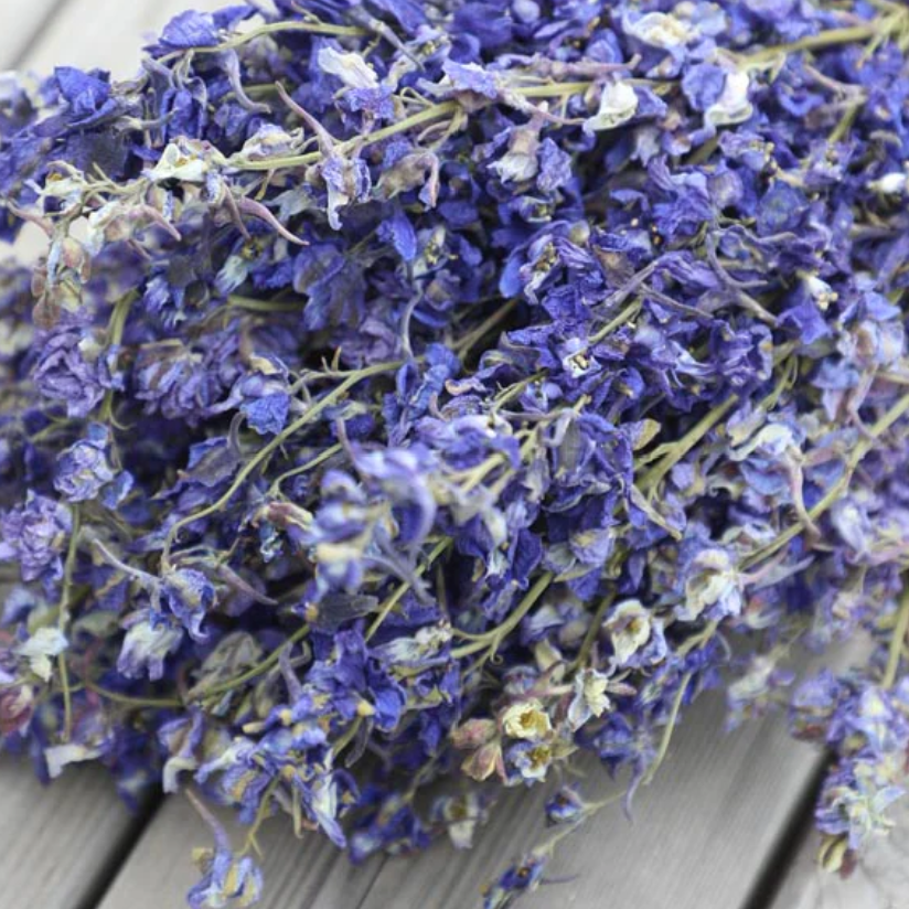 Purple Delphinium Bunch Natural Dried Flowers