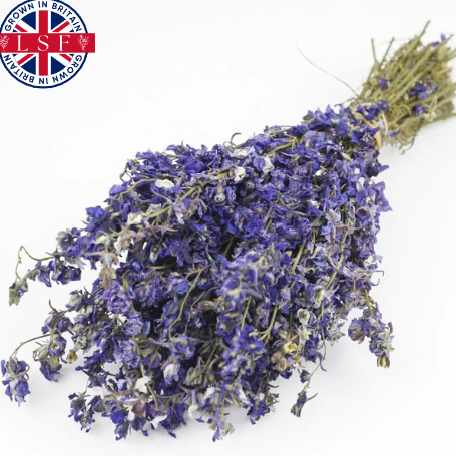 Purple Delphinium Bunch Natural Dried Flowers